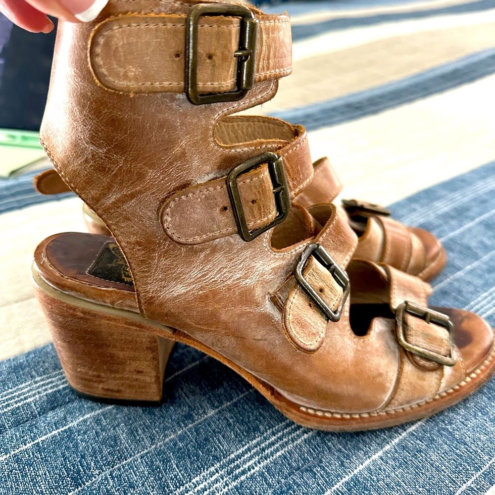 Freebird by Steven buckled Sandals.  Gorgeous!